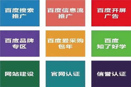 社交平台信息流竞价广告的投放策略与效果